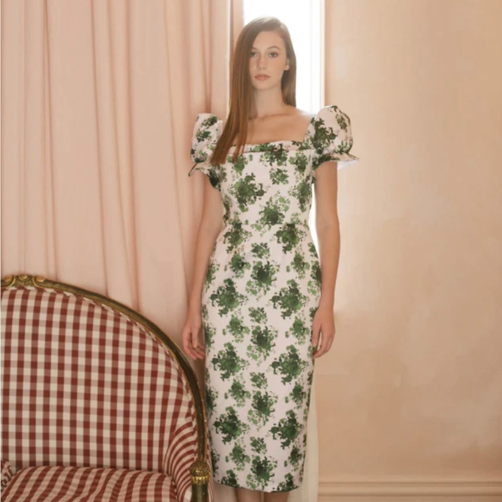 NWT Damaris Bailey Ivy Rose Dress